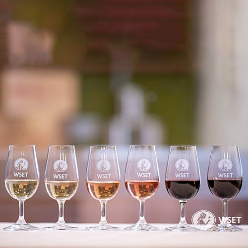 MSA şimdi WSET tarafından akredite bir eğitim merkezi!