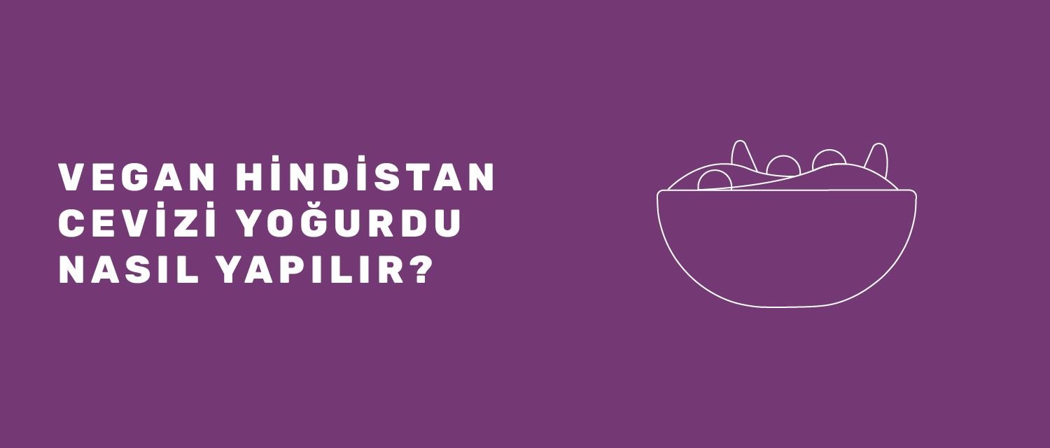 Vegan Hindistan Cevizi Yoğurdu Nasıl Yapılır?