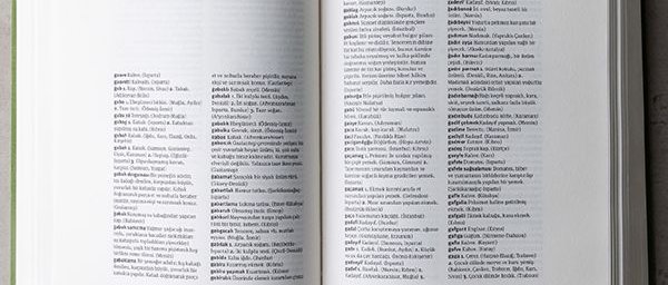 1939’dan Günümüze Yazılı Kaynaklarda Yemek Kültürü Terimleri Sözlüğü/ MSA Yayınları