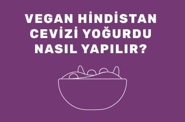 Vegan Hindistan Cevizi Yoğurdu Nasıl Yapılır?